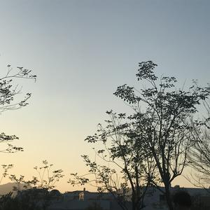 俄罗斯肥妇大屁股撒尿
