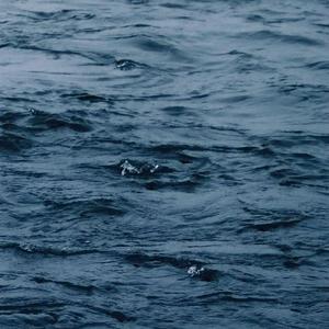 俄罗斯肥妇大屁股撒尿
